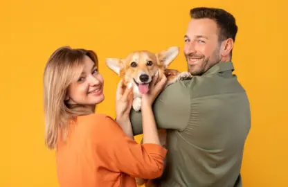 Mascotas tras el divorcio en Chile: cómo deciden los tribunales