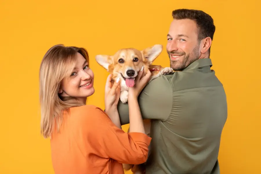 Mascotas tras el divorcio en Chile: cómo deciden los tribunales